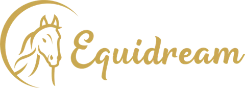 Equidream logo, an Efficient Marketing client