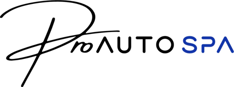 Pro Auto Spa logo, an Efficient Marketing client